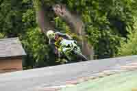 anglesey;brands-hatch;cadwell-park;croft;donington-park;enduro-digital-images;event-digital-images;eventdigitalimages;mallory;no-limits;oulton-park;peter-wileman-photography;racing-digital-images;silverstone;snetterton;trackday-digital-images;trackday-photos;vmcc-banbury-run;welsh-2-day-enduro